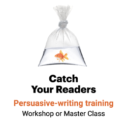 Catch Your Readers - Ann Wylie 幸运世界杯足球最新体育记录体彩官网|2026世界杯48强名单体育直播间旗舰娱乐官网 |金刚生态KINGKONG体彩站速度与激情风格体育直播间's persuasive-writing training